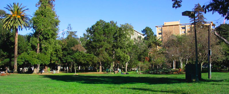 People's Park in Berkeley