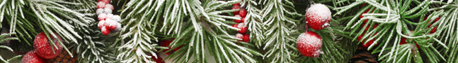 HOLIDAY DECO