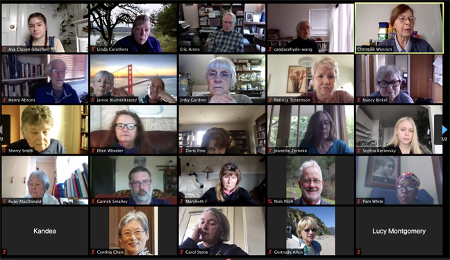 Program Planning Zoom meeting