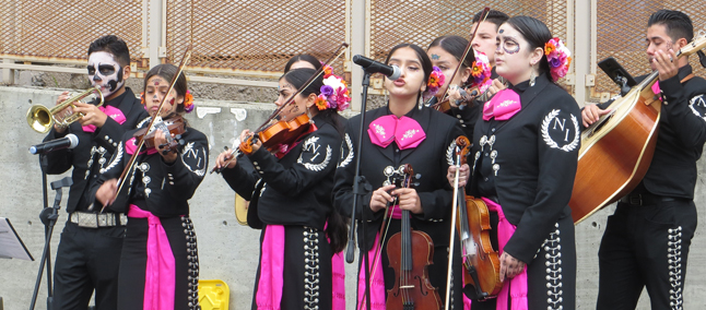mariachi orchestra