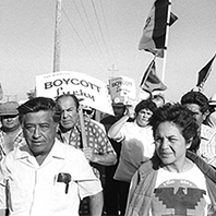 The Farmworkers’ Movement