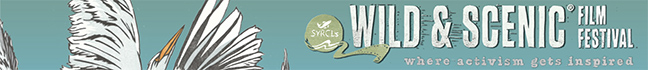 W&S fiim festival